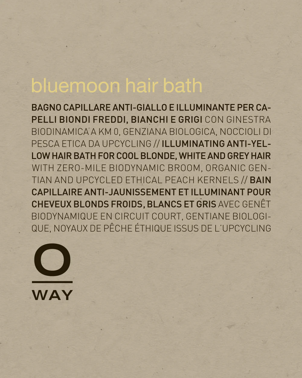 blonde toning complete kit - Image 3