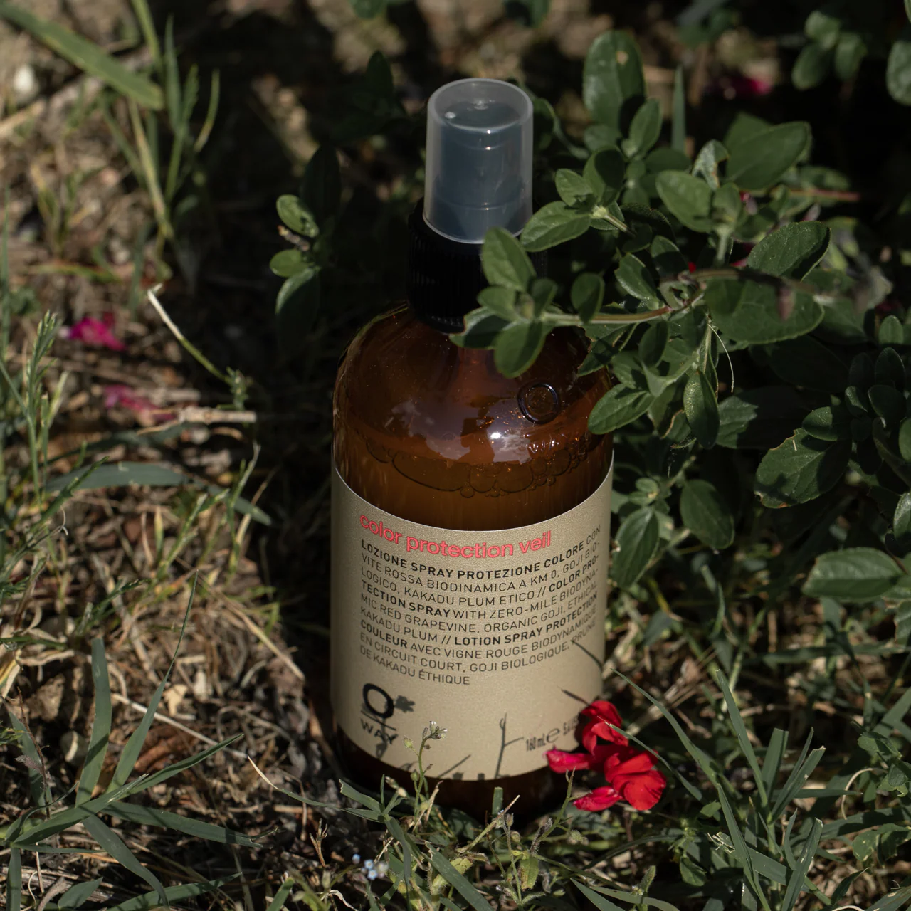 color protection veil - Image 5