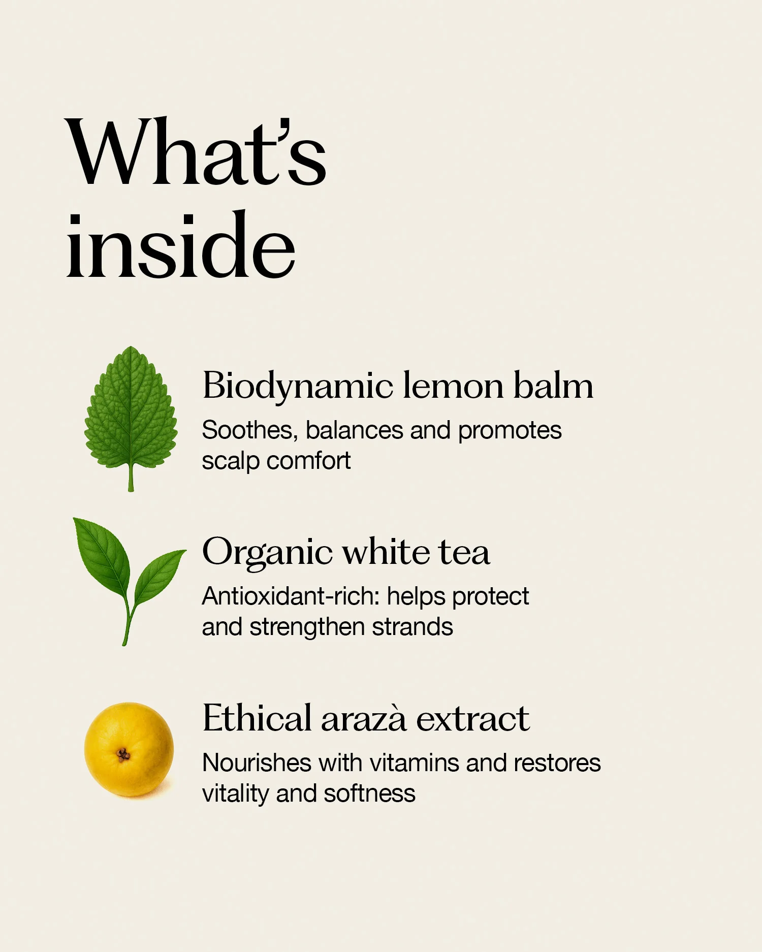 frequent use conditioner - Image 3