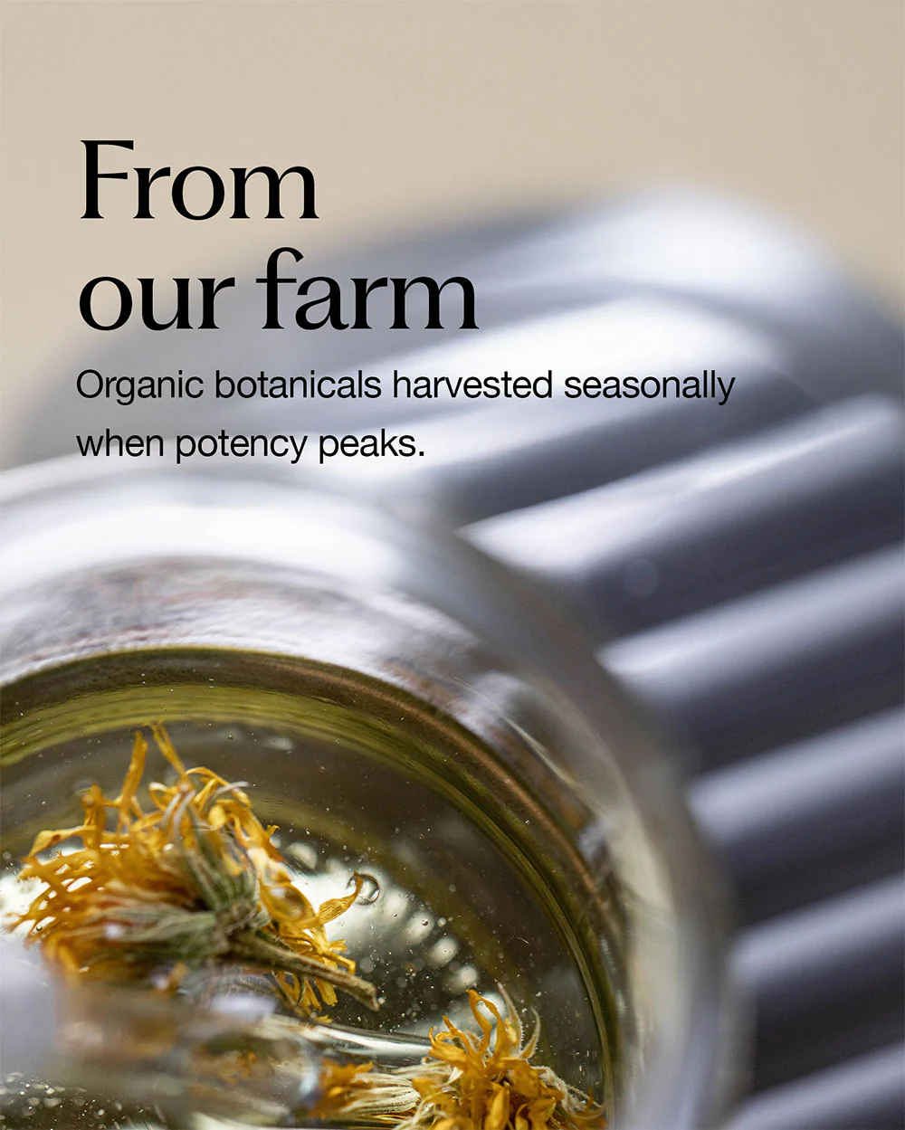 frequent use conditioner - Image 5