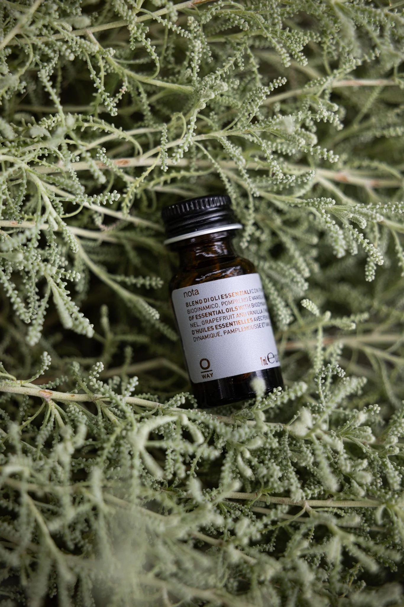 nota essential oils blend - Image 4