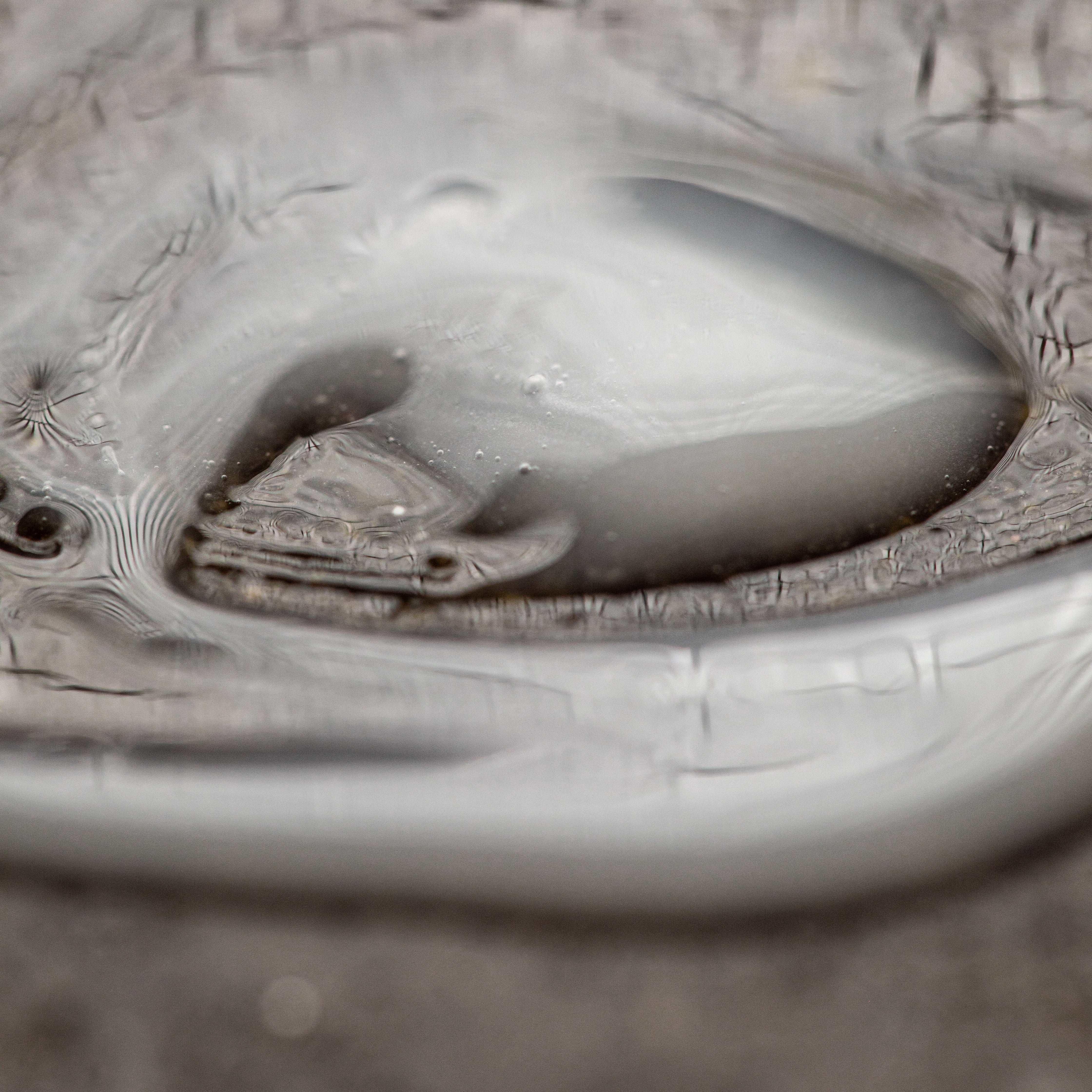 overnight no rinse hair serum - Image 6