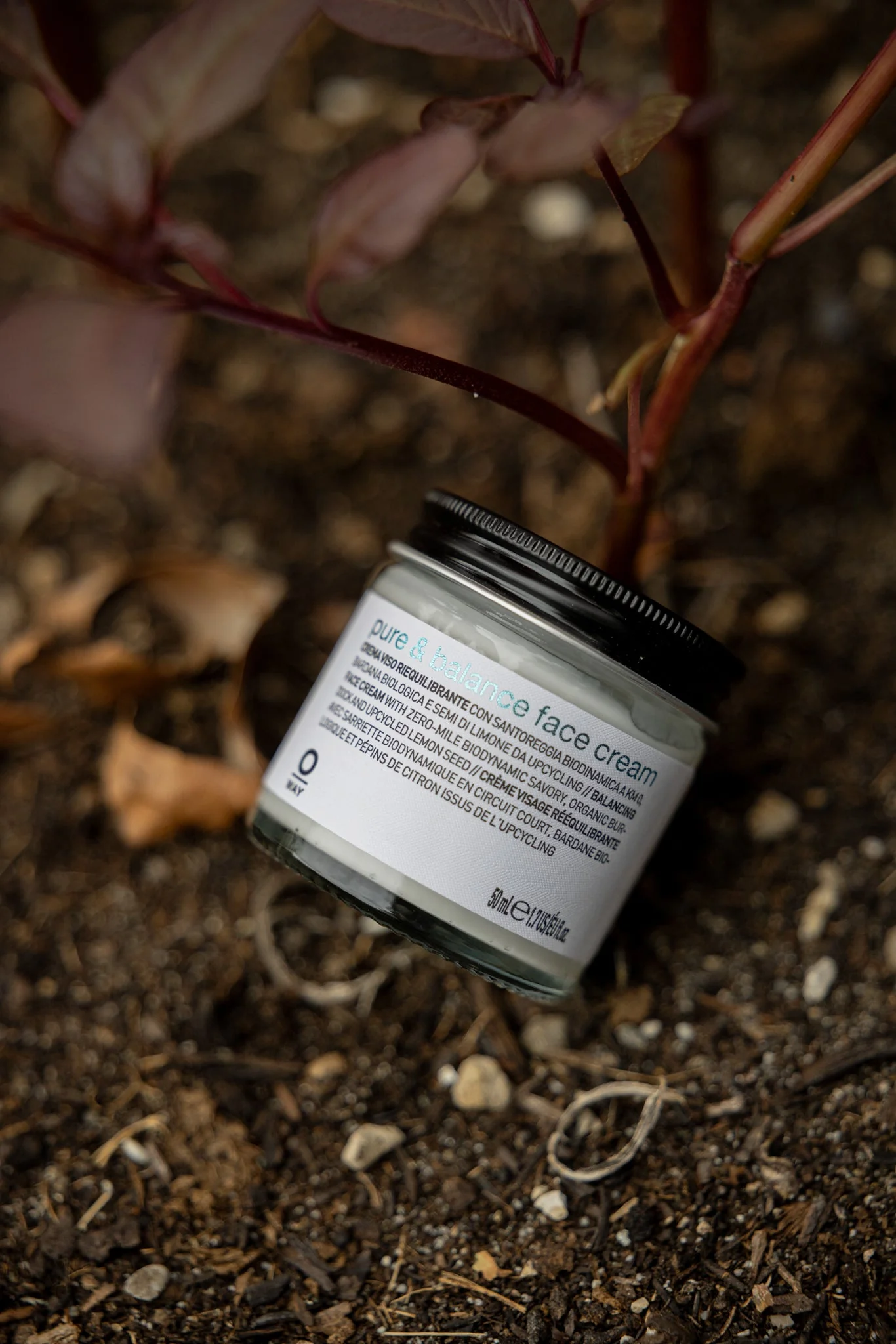 pure & balance face cream - Image 5