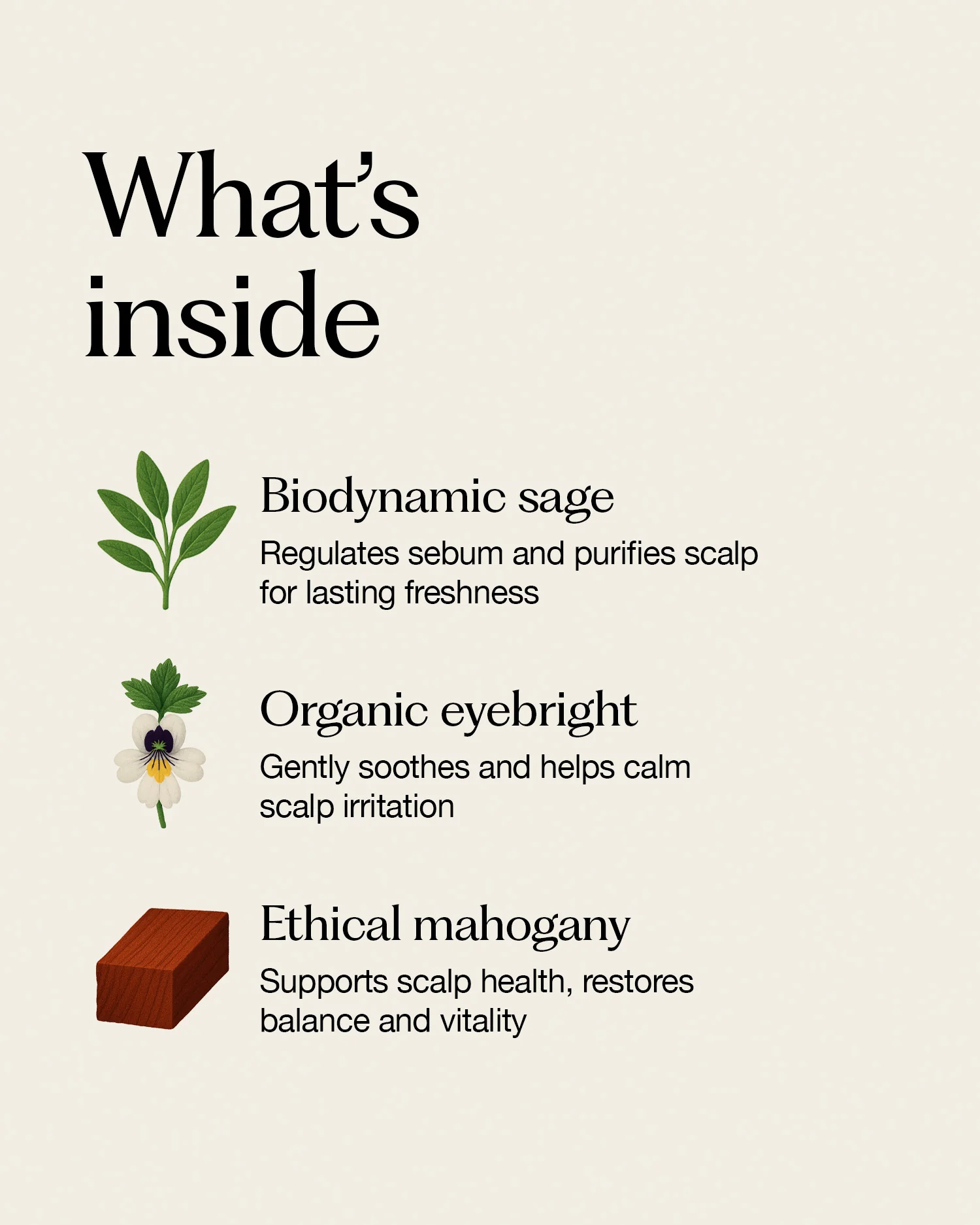 sebum balance hair bath - Image 3