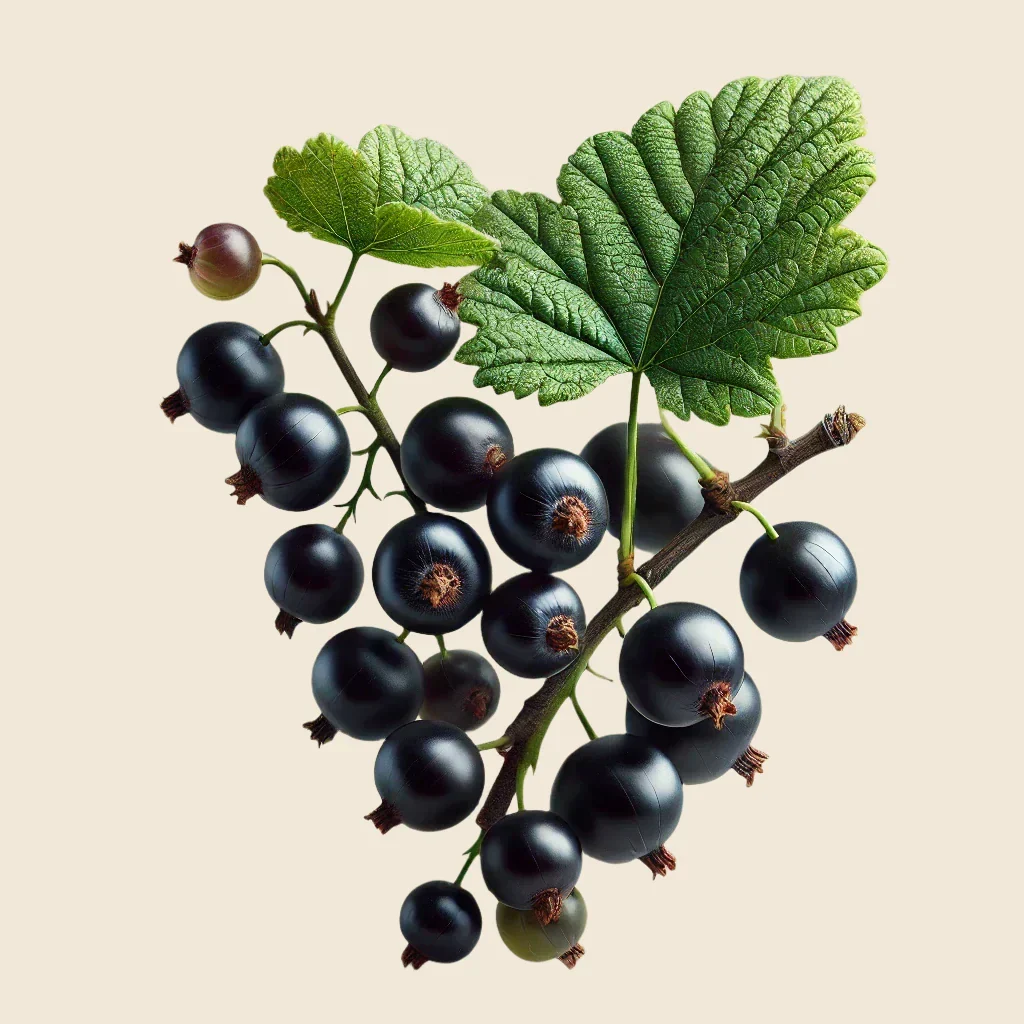 shaping treatment - Image 4